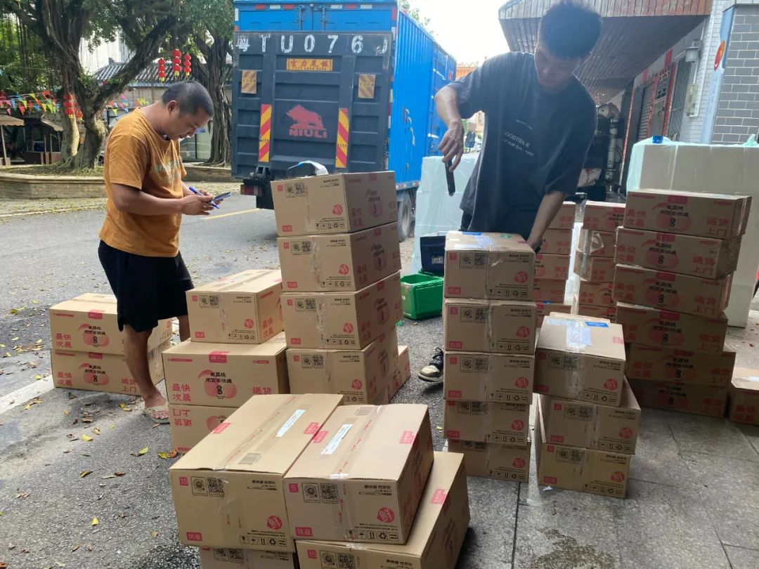 “百千萬工程”添“荔”量丨珠光集團消費幫扶助力蓮洲荔枝銷售